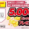 BIC SIMスマホセットキャンペーンの告知バナー。5,000ビックポイントプレゼントの文字と期間を