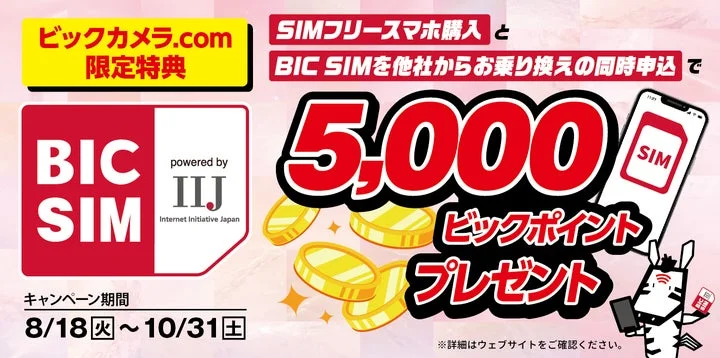 BIC SIMスマホセットキャンペーンの告知バナー。5,000ビックポイントプレゼントの文字と期間を