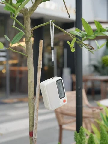 木の枝にストラップで吊り下げられた白いポータブルBluetoothスピーカー「FlowToo」