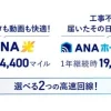 ANA光とANAホームWi-Fiのサービス比較と特典マイル数の提示