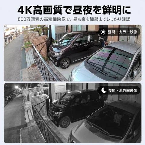 昼間のカラー映像と夜間の赤外線モノクロ映像の比較