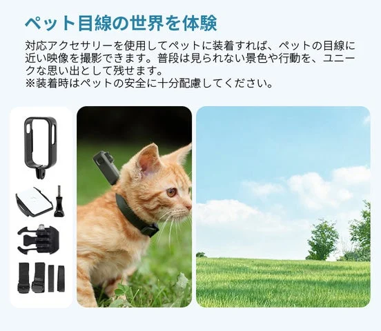ペットの首輪にカメラを装着する様子と、ペット目線の景色。