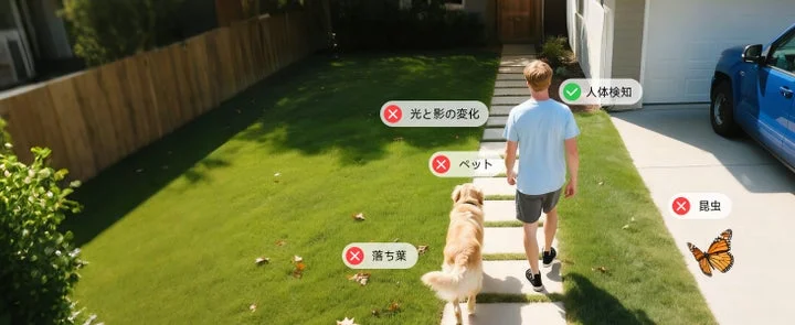 庭を歩く人物と犬をAIが人体検知している様子