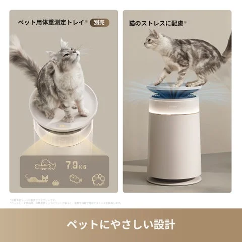 ペット用体重測定トレイに乗る猫と製品の様子