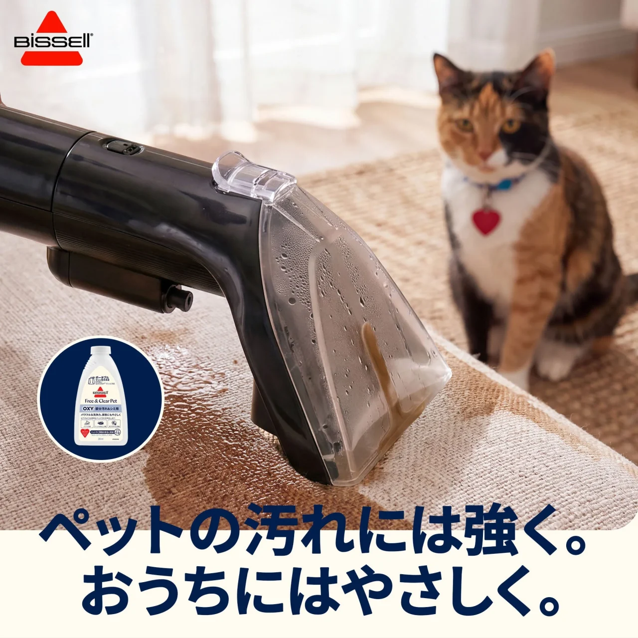 SpotClean Mini Pet Cordlessがソファの汚れを吸引し、猫が写る利用シーン