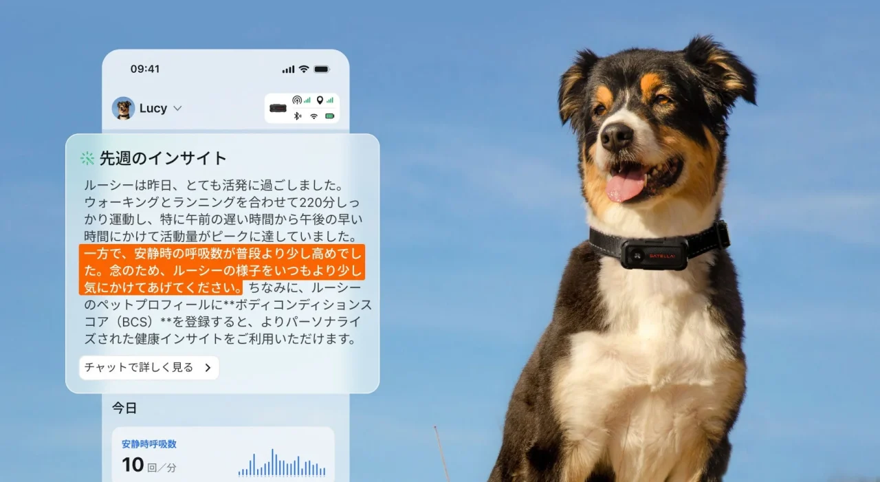 SATELLAI Sense AIのアプリ画面と、首輪にデバイスをつけた犬の画像
