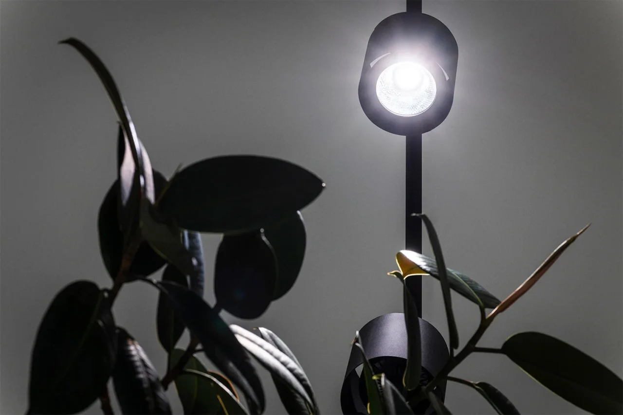 Grow Light シリーズの育成ライトと観葉植物