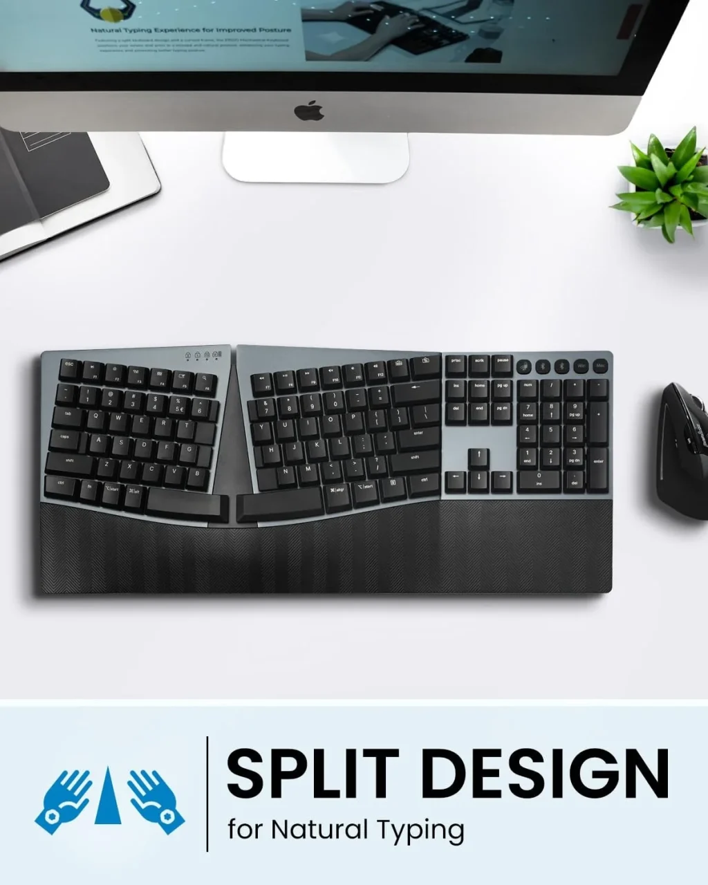 PERIBOARD-735のスプリットデザインと自然なタイピング姿勢を示す製品ビジュアル