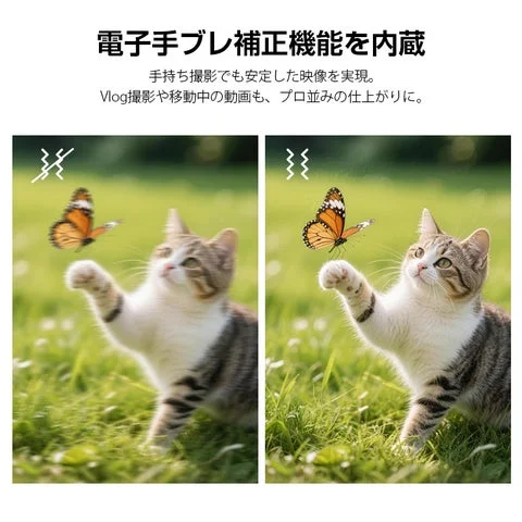 電子手ブレ補正の有無による映像の揺れ比較
