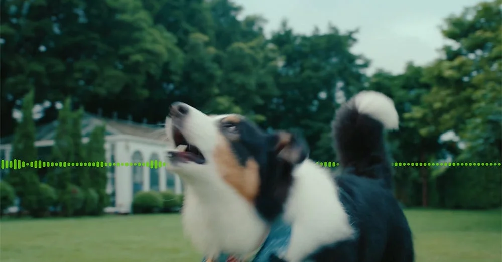 Lark A2のノイズキャンセリング機能を示す、犬が吠える映像と波形