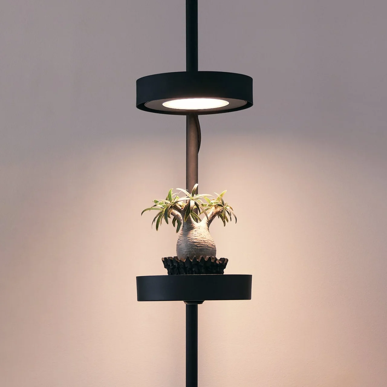 Grow Light シリーズの突っ張り棒に植物とトレイを吊るした室内設置例