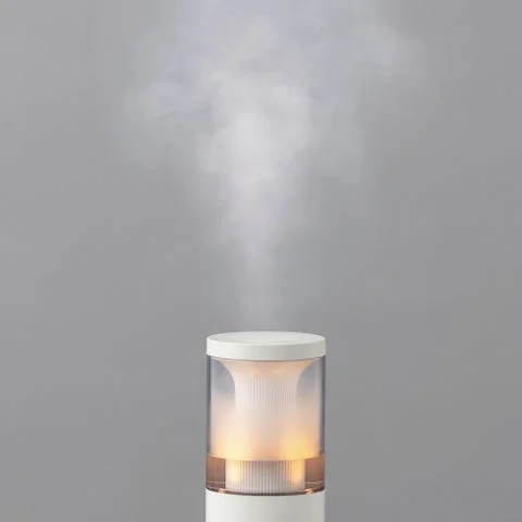 加湿器からミストが噴霧されている様子