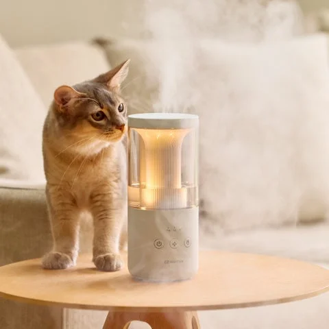 加湿器のそばにいる猫