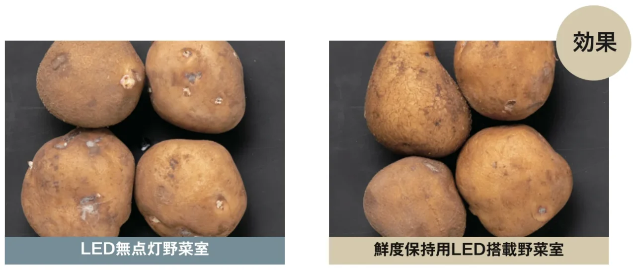 鮮度保持用LEDの有無で28日間保存したじゃがいもを左右に比較