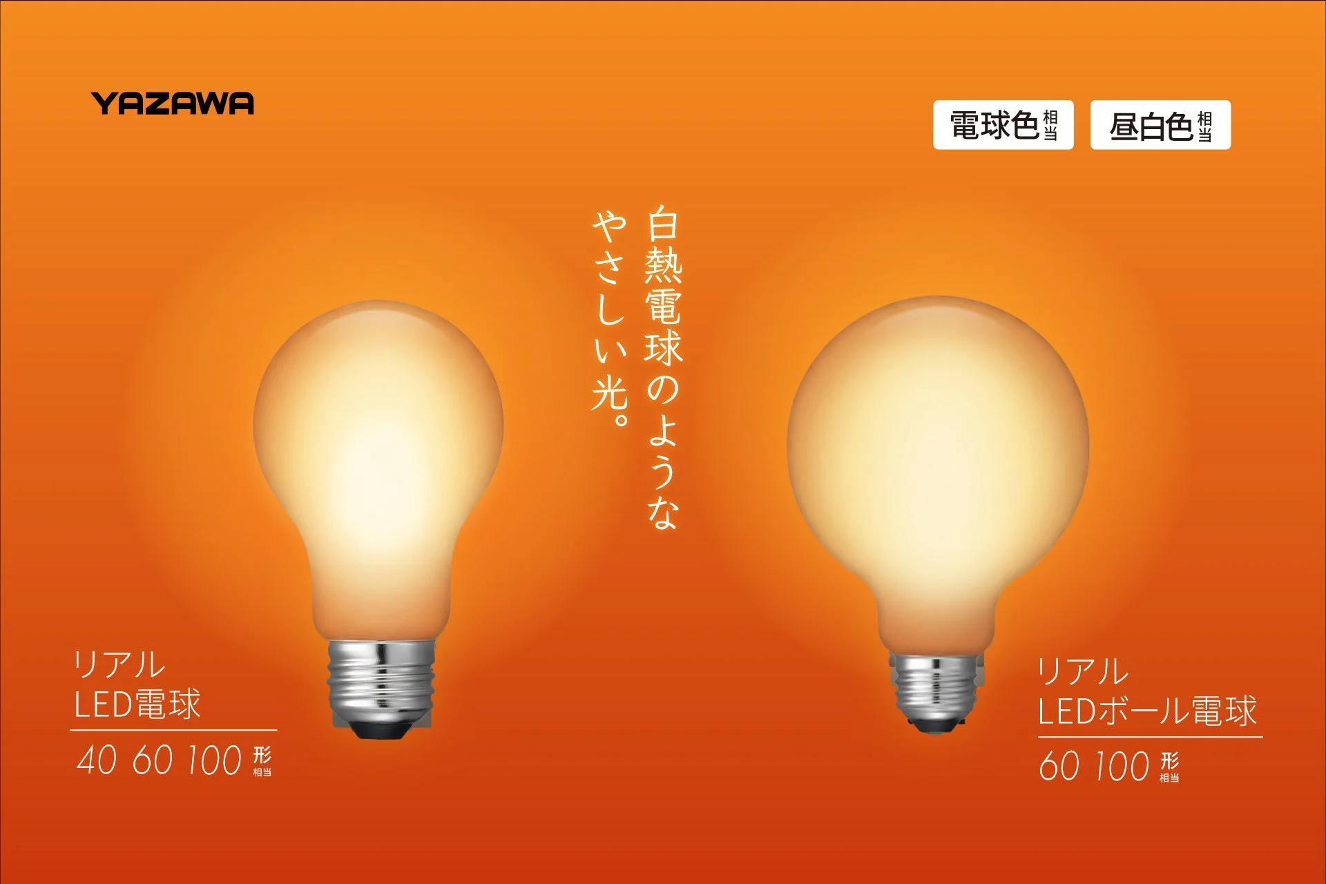 YAZAWAのリアルLED電球とリアルLEDボール電球が並ぶオレンジ背景の告知画像