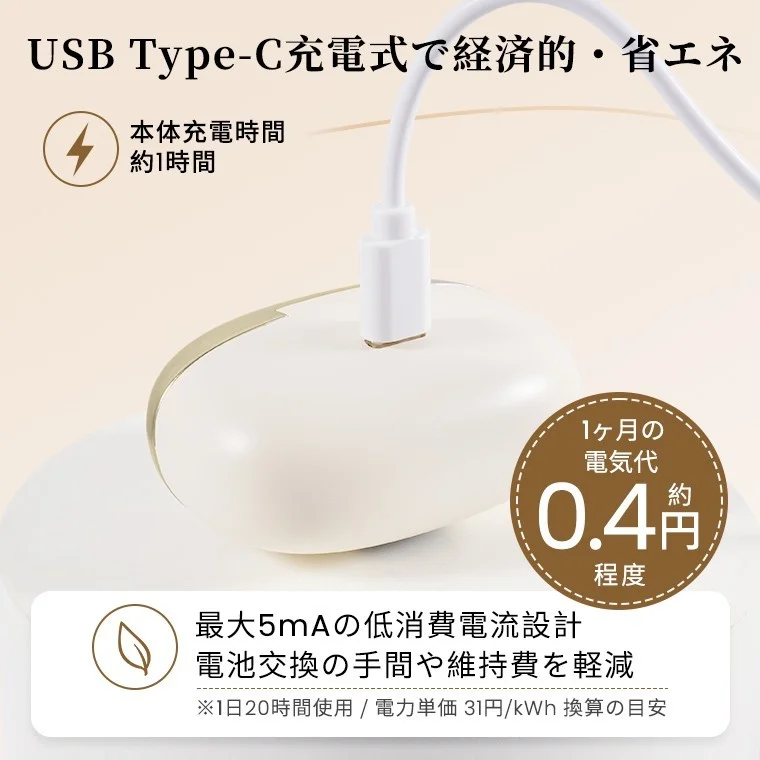 USB Type-C充電式の充電ケースにケーブルを挿した様子
