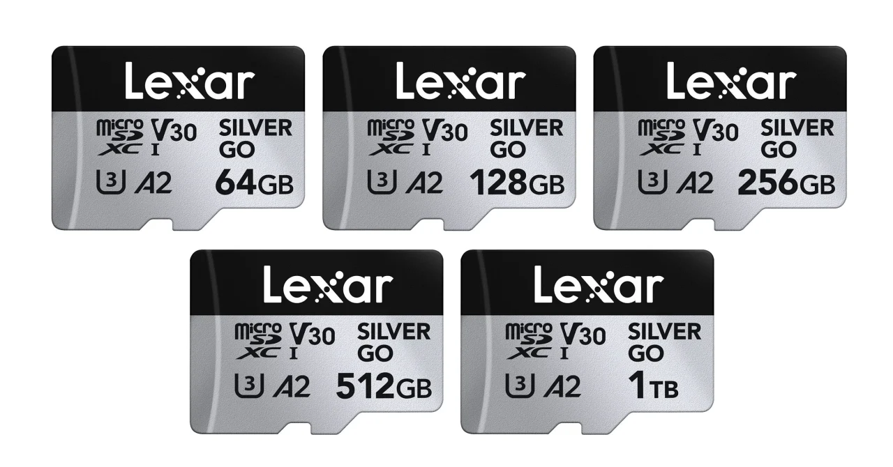 Lexar Professional SILVER GO microSDXC UHS-I Card 5容量