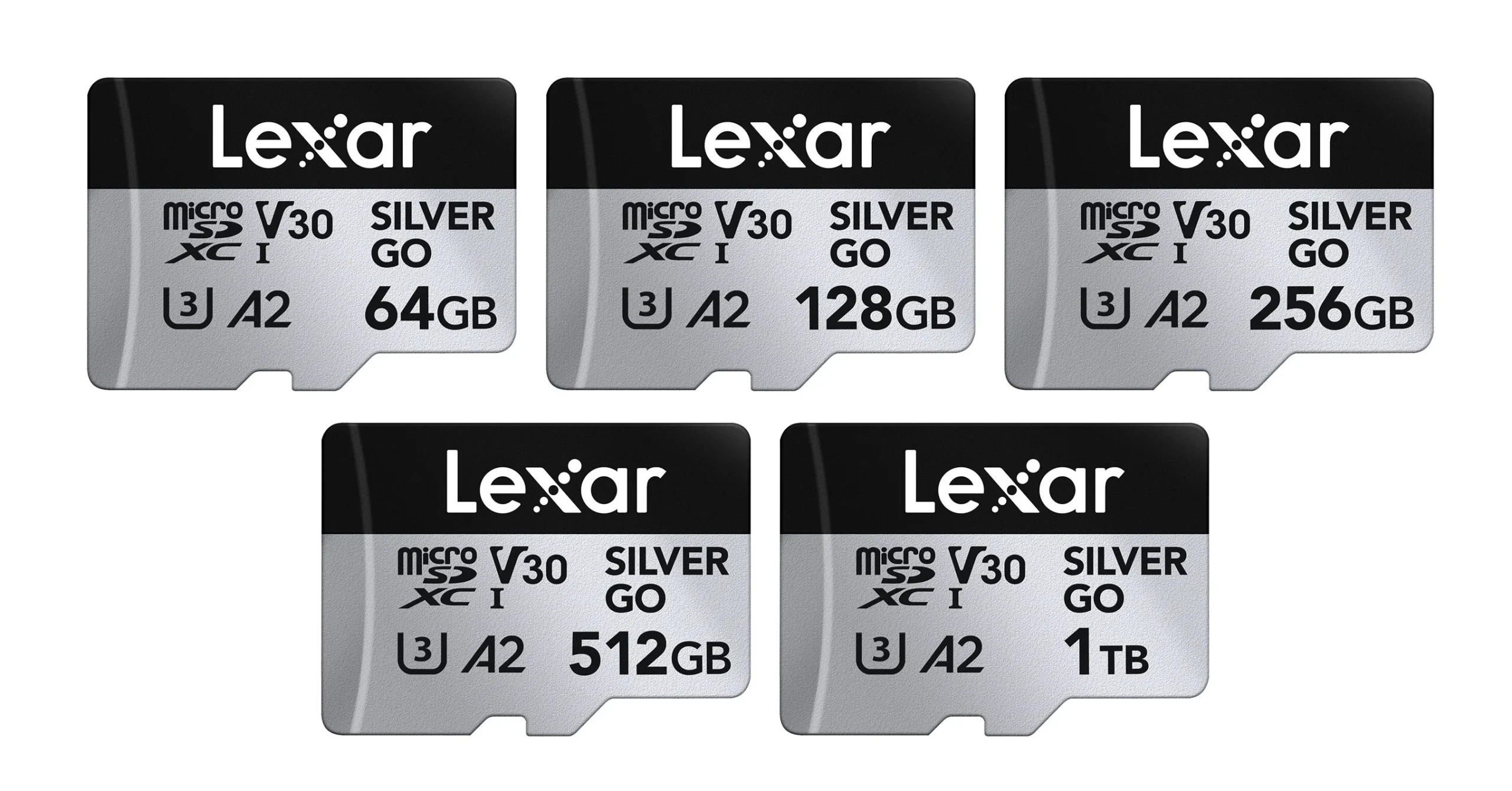 Lexar Professional SILVER GO microSDXC UHS-I Card 5容量