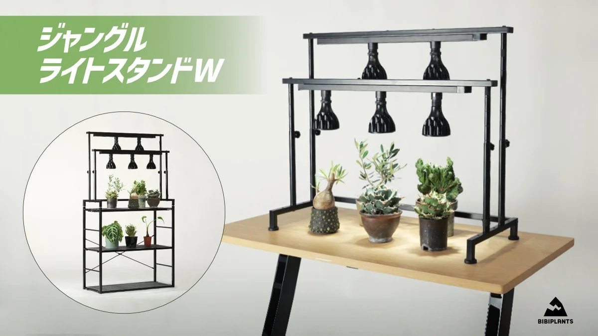 ジャングルライトスタンドWの告知画像。机上の2列ライトスタンドと植物