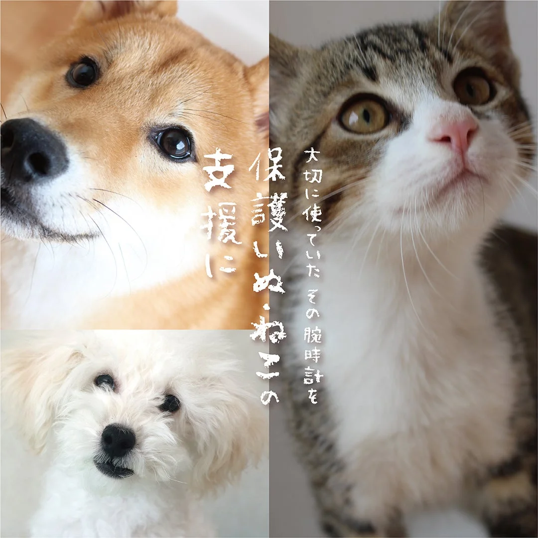 柴犬、白い犬、猫の顔と「保護いぬ・ねこの支援に」の文字のビジュアル