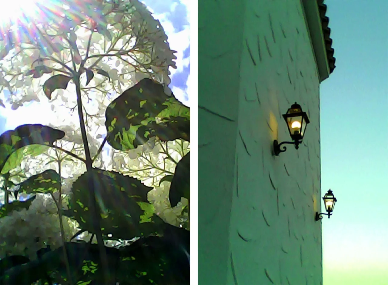 レトロな写りの作例。白い花と壁付けランプを並べた2枚の写真