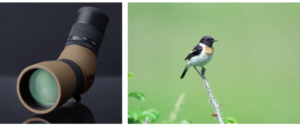口径50mmのフィールドスコープ本体と、枝にとまる野鳥の写真