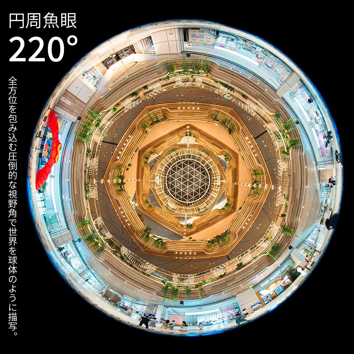 AstrHori 6mm F2.8 CIRCULAR FISHEYEで撮影した円周魚眼の建物内部の写真