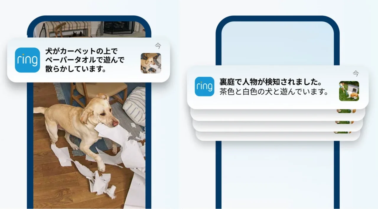 Ringアプリの通知画面。犬がペーパータオルで遊ぶ様子と裏庭の人物検知