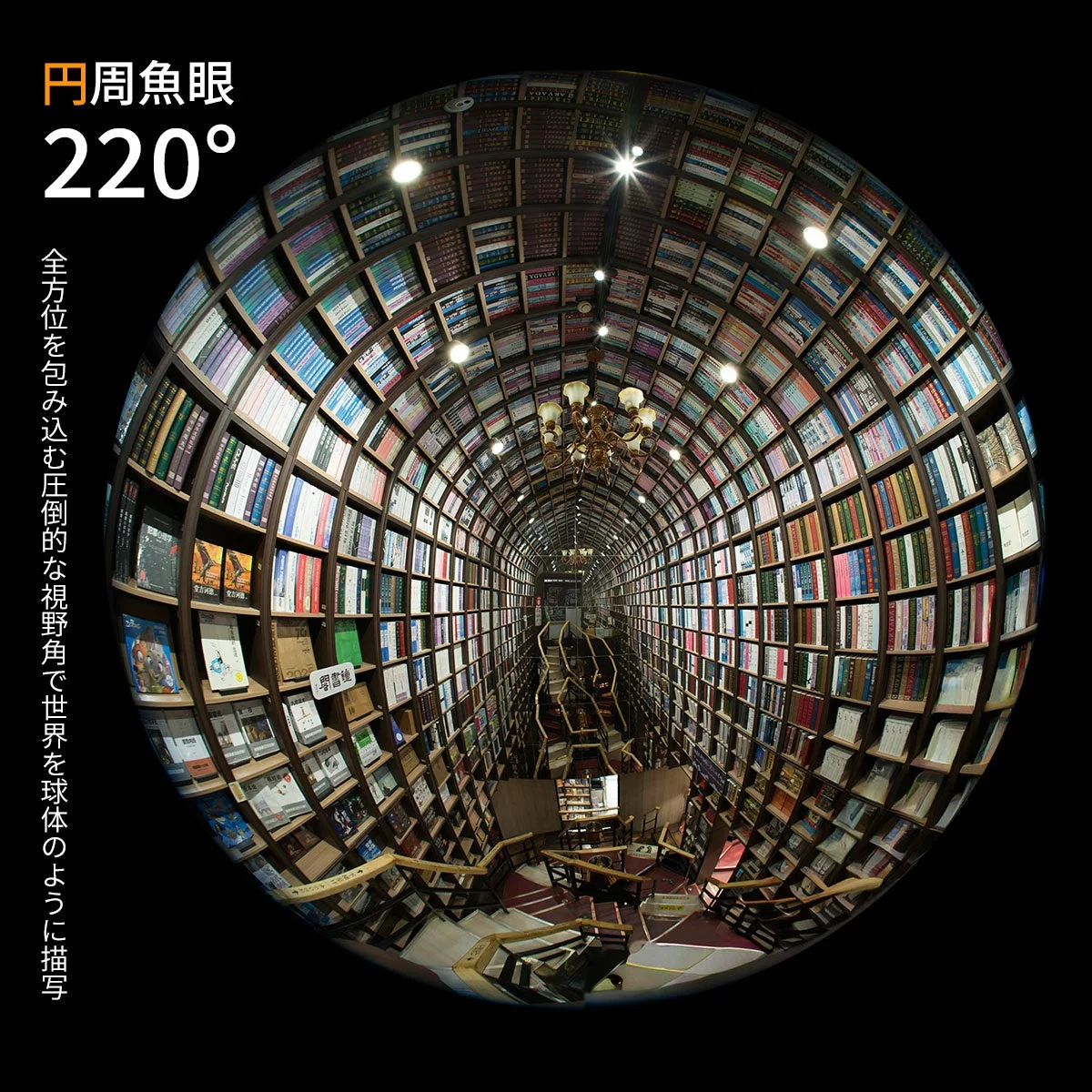 AstrHori 8mm F2.4 CIRCULAR FISHEYEの220°円周魚眼で撮影した円形の書店内