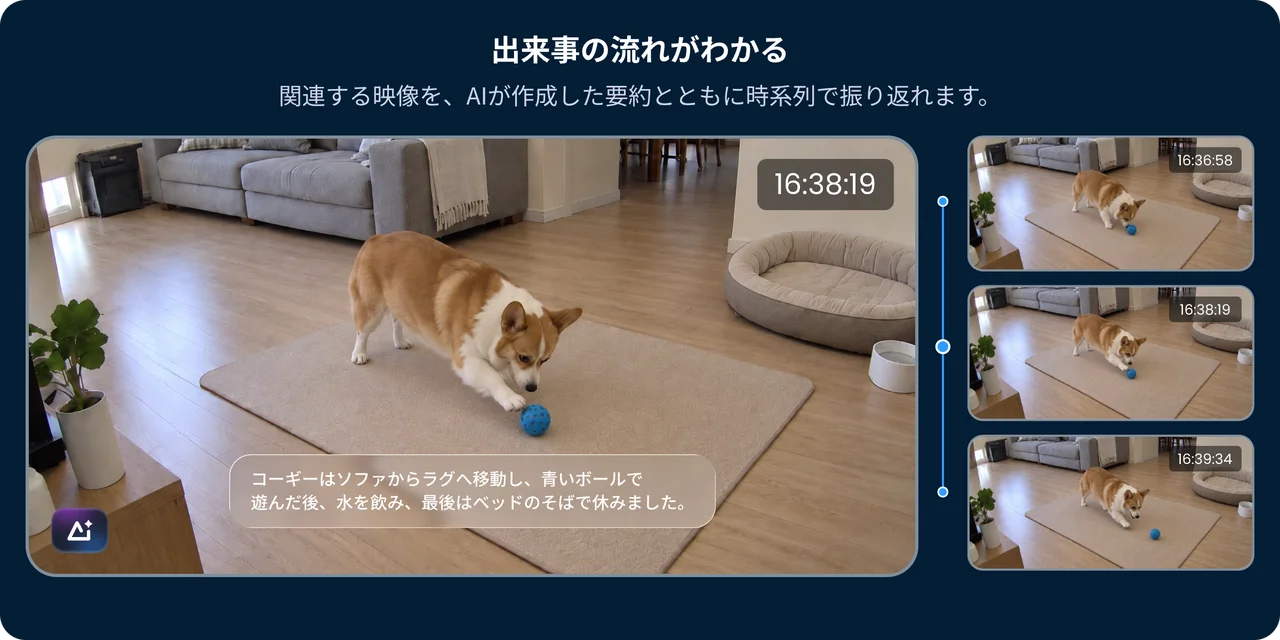 ストーリーサマリー画面。コーギーの映像をAI要約と時系列で表示