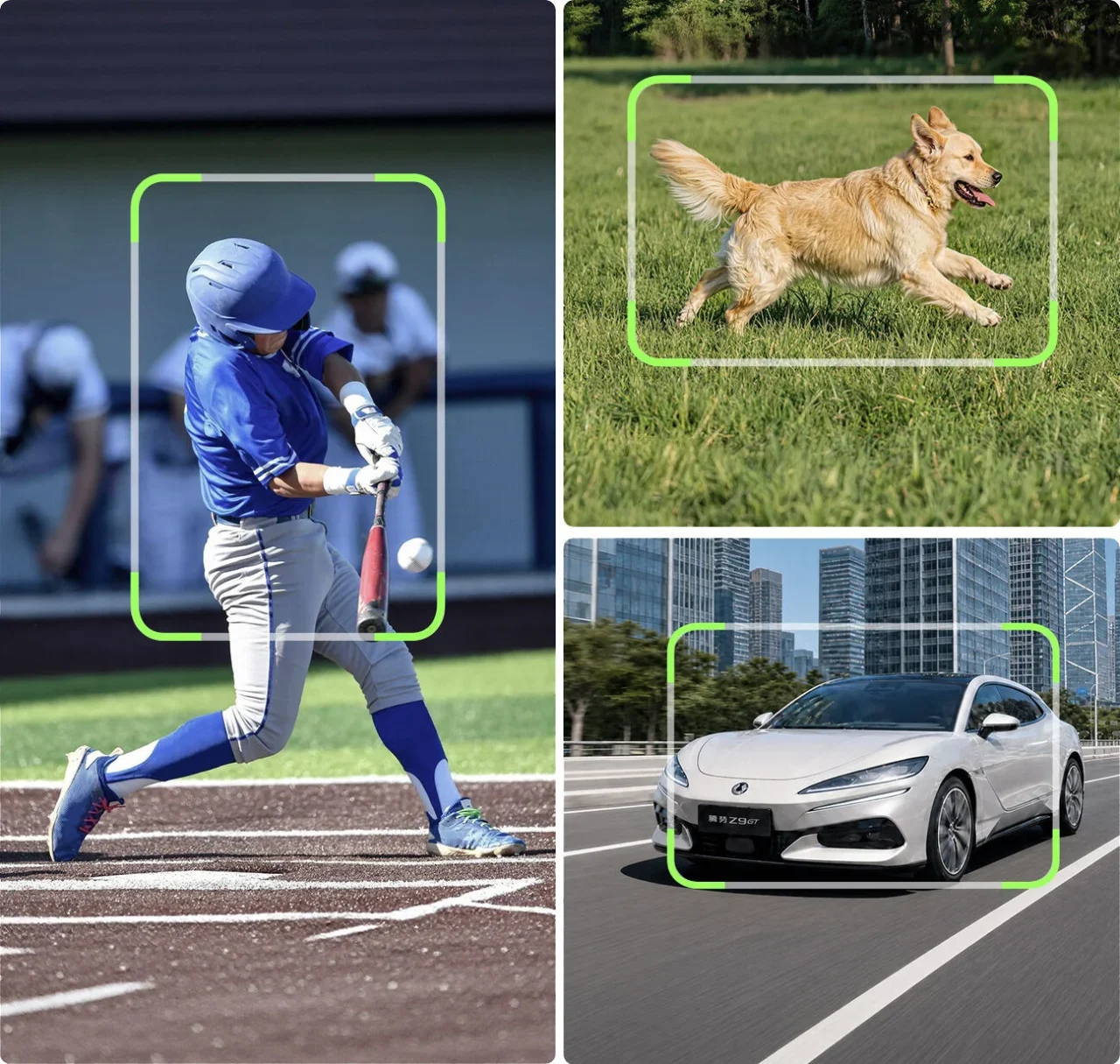 ZHIYUN WEEBILL 5のAIトラッキング対象の枠表示：野球選手、犬、車