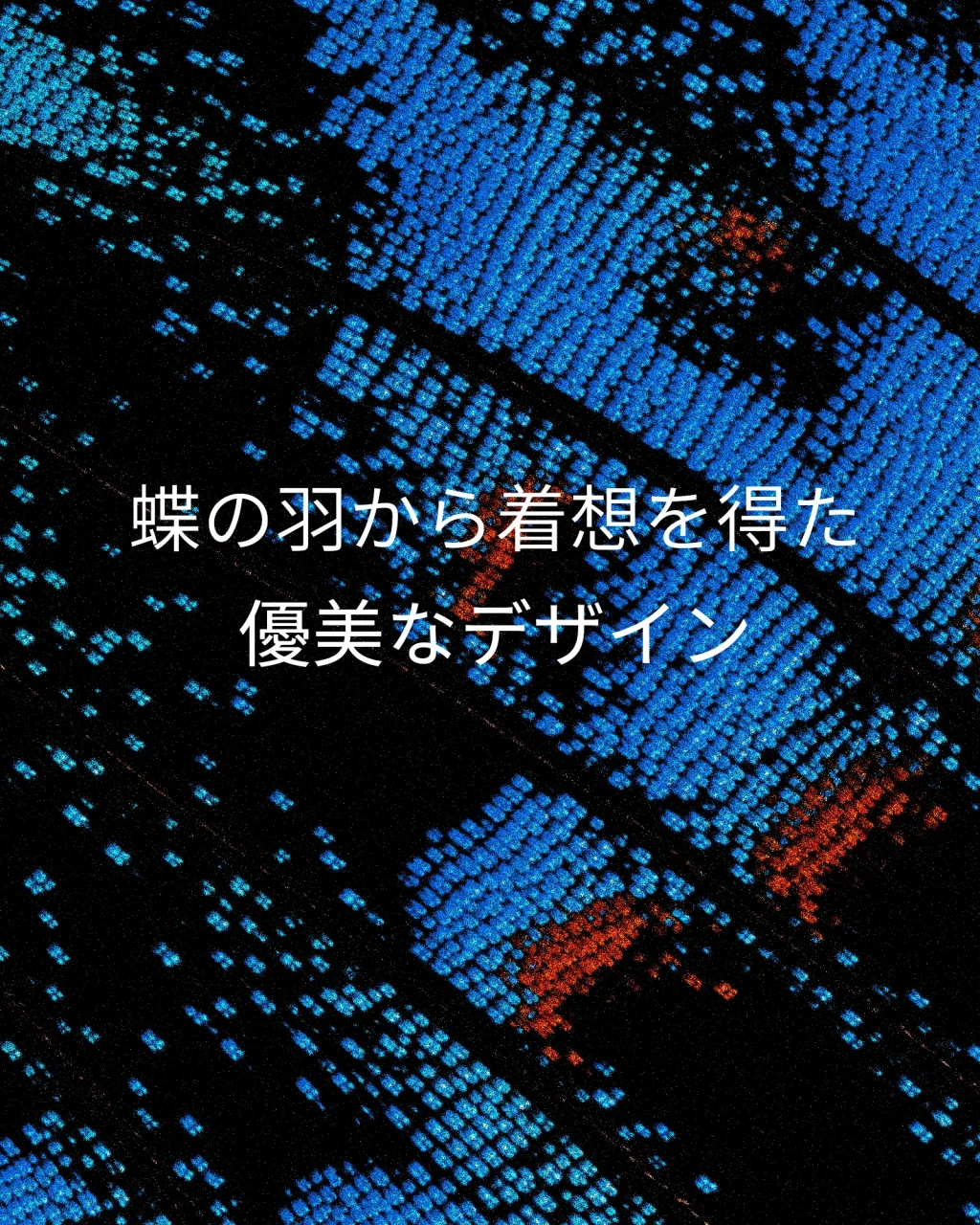 蝶の羽の模様を拡大した青と赤の質感に「優美なバタフライデザイン」を示す文字