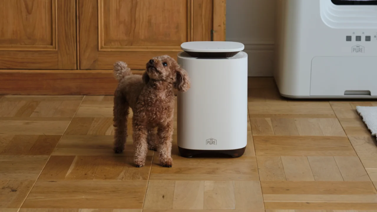 木目の床に置かれた白い円筒形の機器と、横に立つ茶色い小型犬