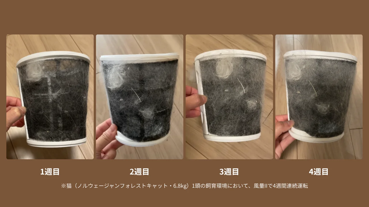ファートルネードフィルターに溜まった抜け毛の1〜4週目の比較