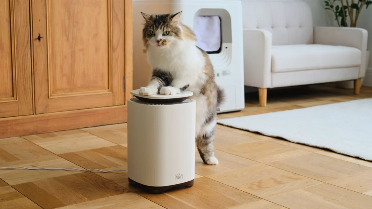 白い据え置き型集毛機の天面に前足を乗せる猫