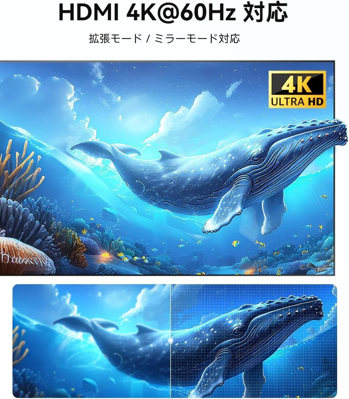 HDMI 4K@60Hz対応を示す、クジラの海中映像と4K ULTRA HDロゴ